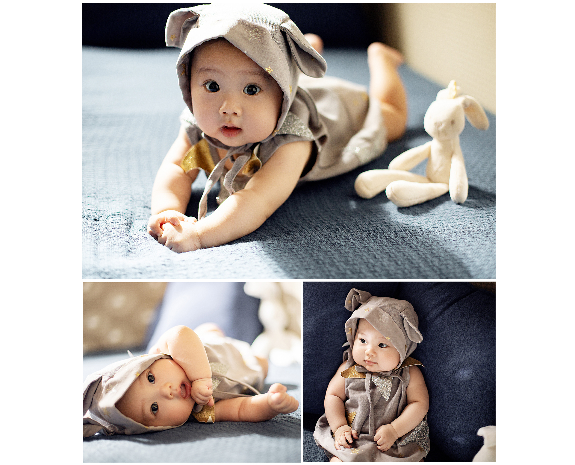641d56bb46a40.jpg