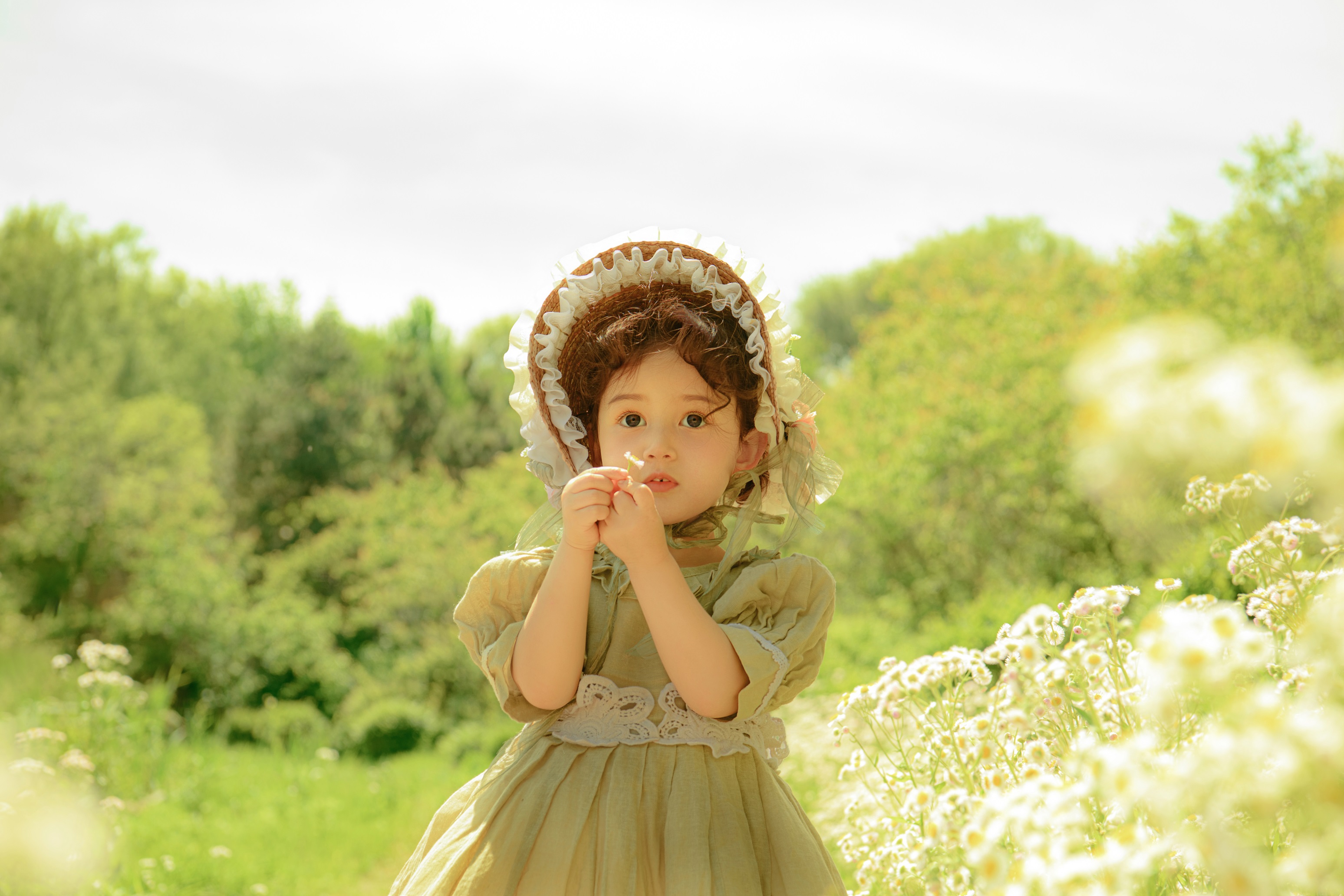 6699d9d493bcf.jpg